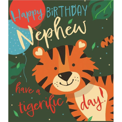 Picture of HAPPY BIRTHDAY NEPHEW CARD